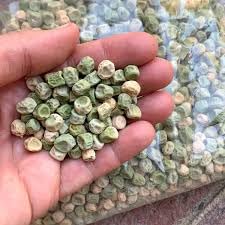 Garden Pea Seeds for Planting, High Yield