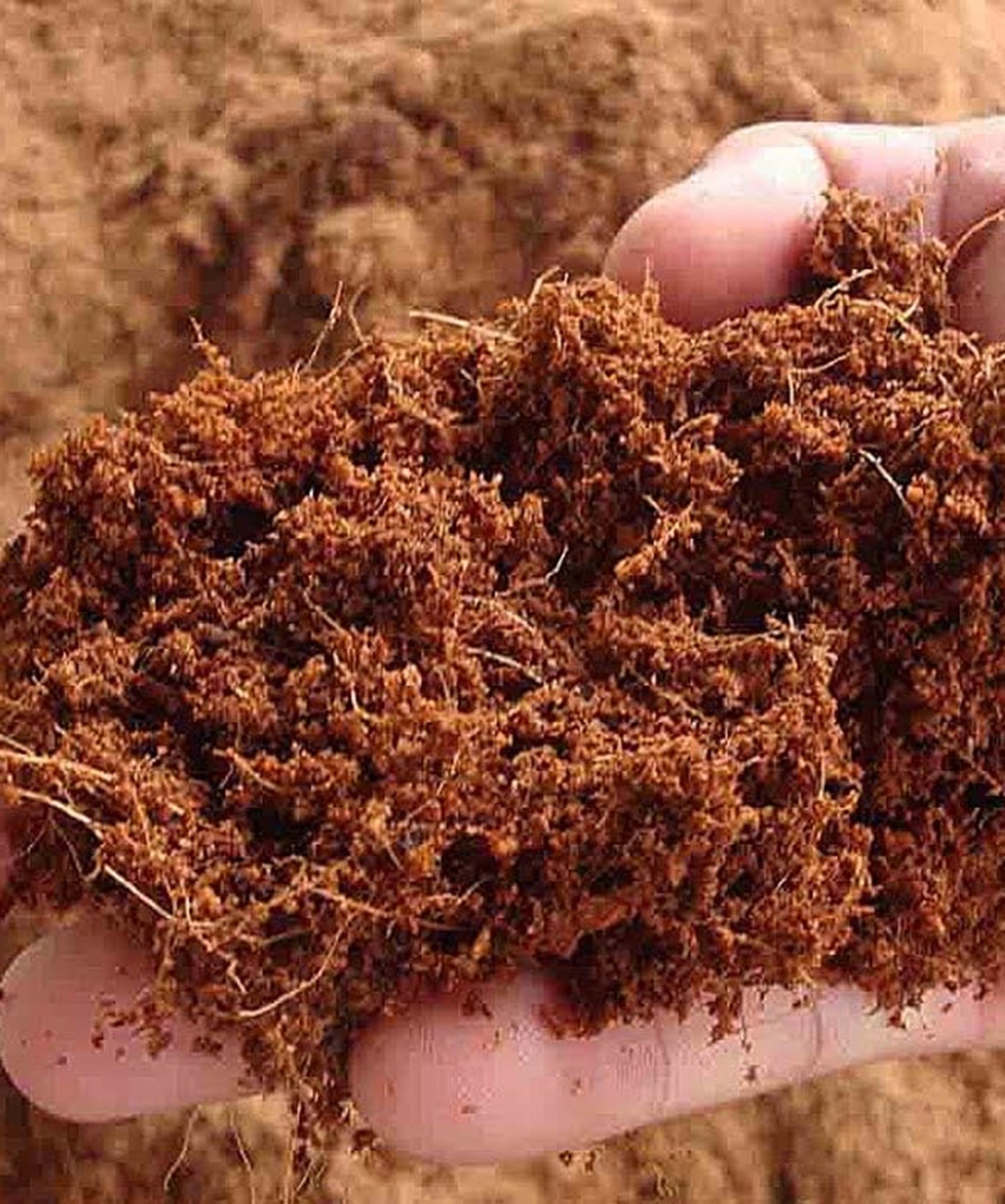 Premium Cocopeat Powder | Maximum Water Holding Capacity For Growth Of you Plants