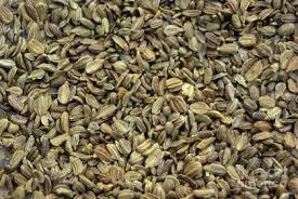 Carrot Seeds for Garden, 10 g Pack, 8500+ Seeds, Gajar Variety