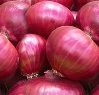 Hybrid Onion Seeds for Planting, 20g Pack, 5000+ Seeds