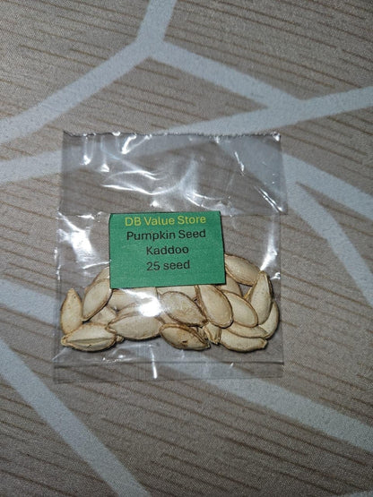 Pumpkin Seeds, Pack of 25 Seeds