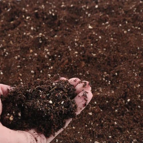 Organic Potting Soil Mix, Garden Soil for Indoor Outdoor Plants, Vegetables and Flowers 2 KG