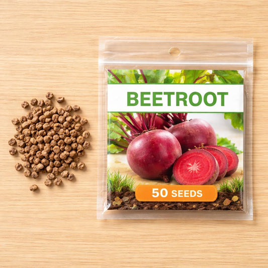 Beetroot Seeds for Planting, High Germination Rate