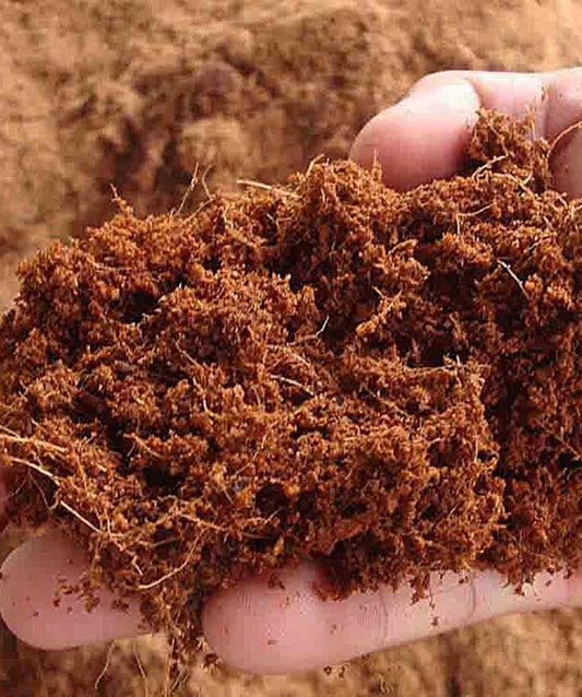 Premium Cocopeat Powder | Maximum Water Holding Capacity For Growth Of you Plants
