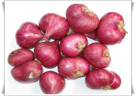 Hybrid Red Onion Seeds for Planting, 10g Pack, 2500+ Seeds