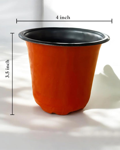 Plastic Plant Pots, 4 Inch, Multicolor with Drainage Holes