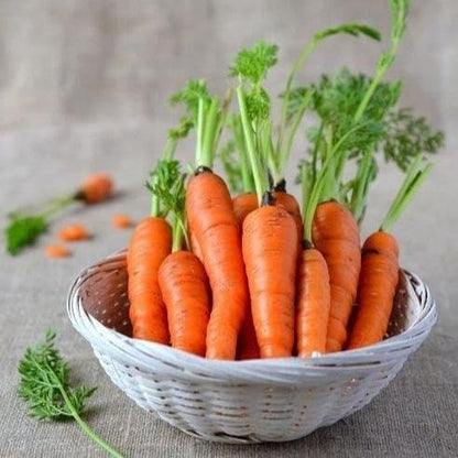 Carrot Seeds for Garden, 10 g Pack, 8500+ Seeds, Gajar Variety