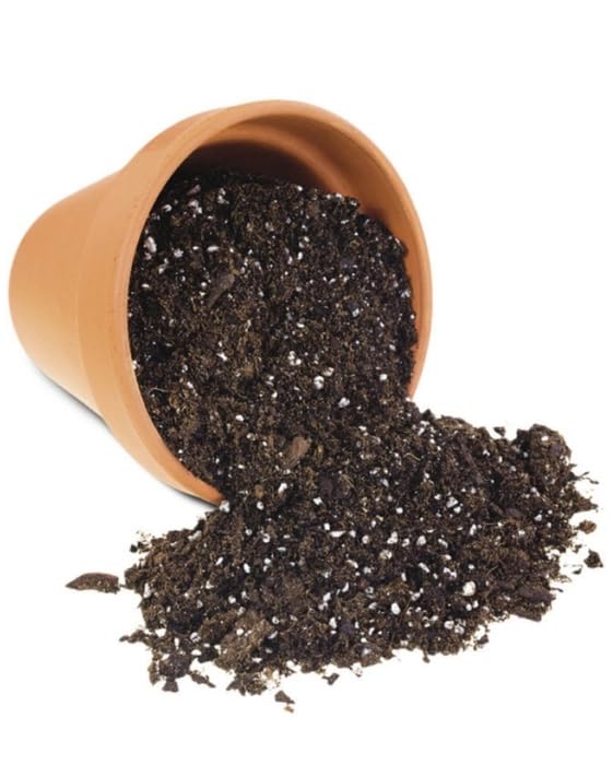 Organic Potting Soil Mix, Garden Soil for Indoor Outdoor Plants, Vegetables and Flowers 2 KG