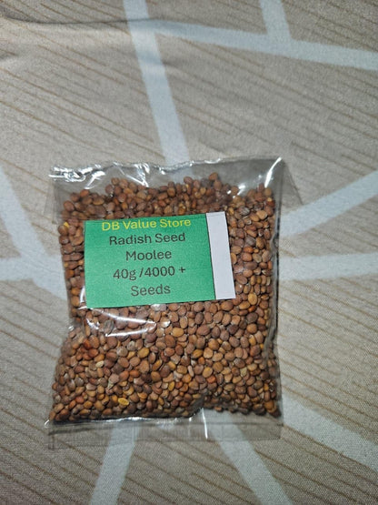 DB Value Store Radish Seeds Moolee Variety, 40g Pack, 4000+ Seeds