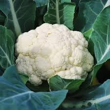 Cauliflower Seeds, 10g Pack, 2800+ Seeds for Growing Fresh Gobi