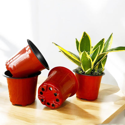 Plastic Plant Pots, 4 Inch, Multicolor with Drainage Holes